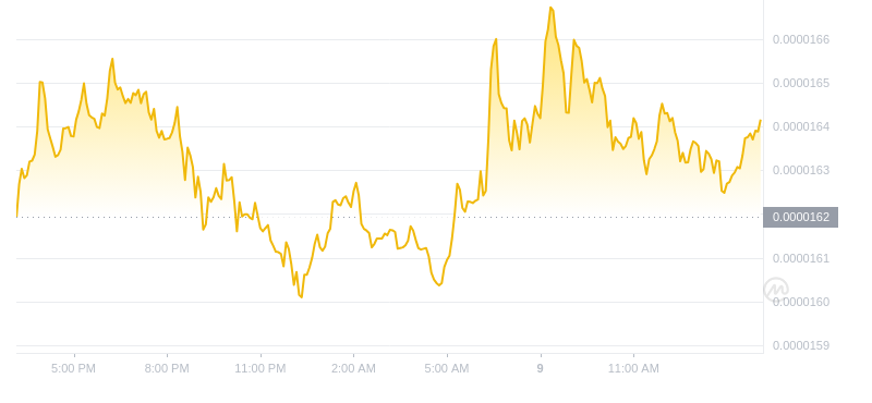 2024年09月09日Bonk币价格